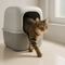 Kattenbak
