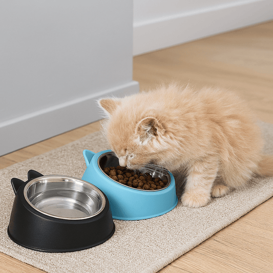 100ML Cat Dog Bowl 15 Degrees Raised Non Slip Puppy Base Cat Food Drinking Water Feeder Tilt Safeguard Neck Pet Bowl Accessories