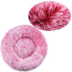 40cm / Gemengd Rood