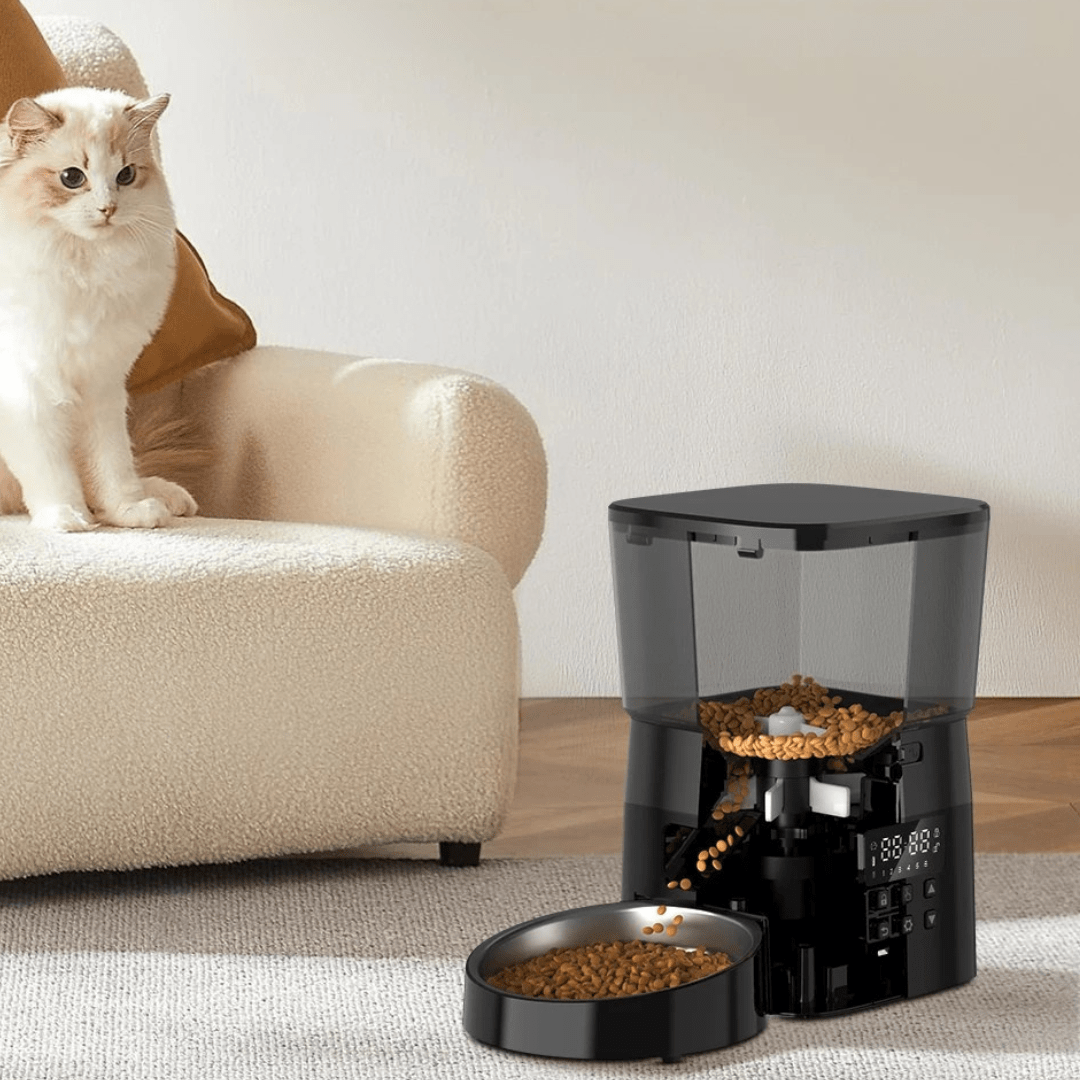 Automatische Kattenvoerbak | Katspullen
