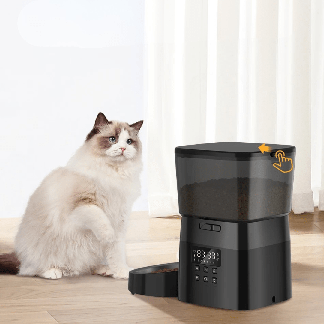 Automatische Kattenvoerbak | Katspullen