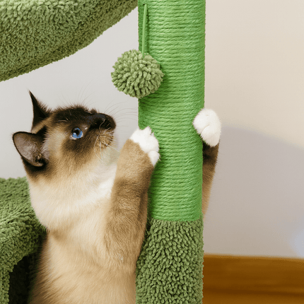 Cactus Krabpaal Groen | Katspullen