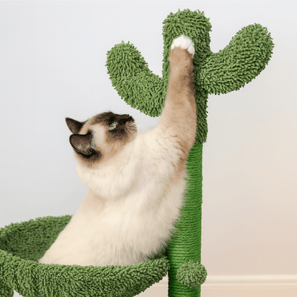 Cactus Krabpaal Groen | Katspullen