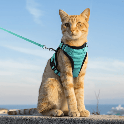 Cat Harness and Leash for Walking, Escape Proof Soft Adjustable Vest Harnesses for Cats, EasyControl