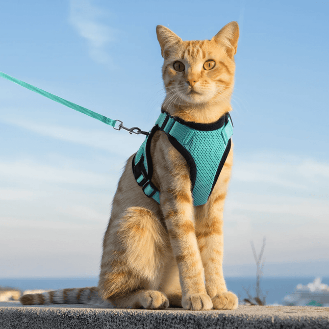 Cat Harness and Leash for Walking, Escape Proof Soft Adjustable Vest Harnesses for Cats, EasyControl