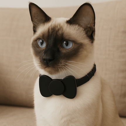 Find My Pet Positioning Collar Waterproof Dog Gps Animal Tracking Movement Alert Anti Lost Tracker Cats Remote Global Locator