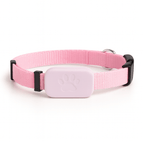 Roze