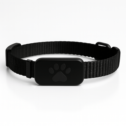 GPS Kattenhalsband | Katspullen Zwart
