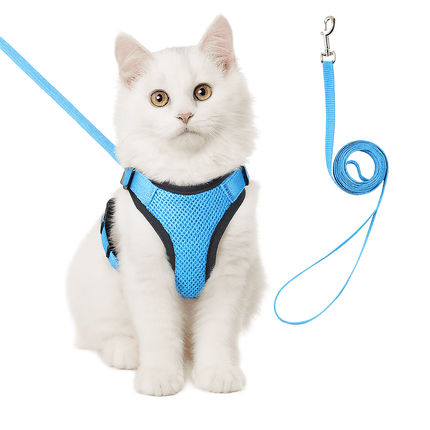 Harnas Voor Katten | Katspullen Blauw / S