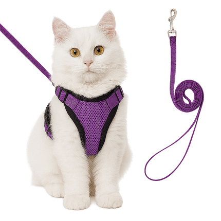 Harnas Voor Katten | Katspullen Donkerpaars / XS