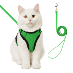 Groen / XS