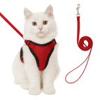 Rood / XS