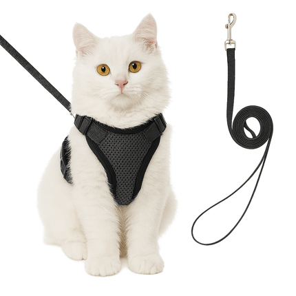 Harnas Voor Katten | Katspullen Zwart / XS