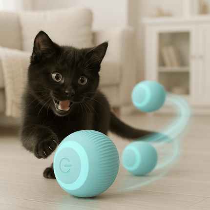 Interactief Kattenspeelgoed Bal | Katspullen