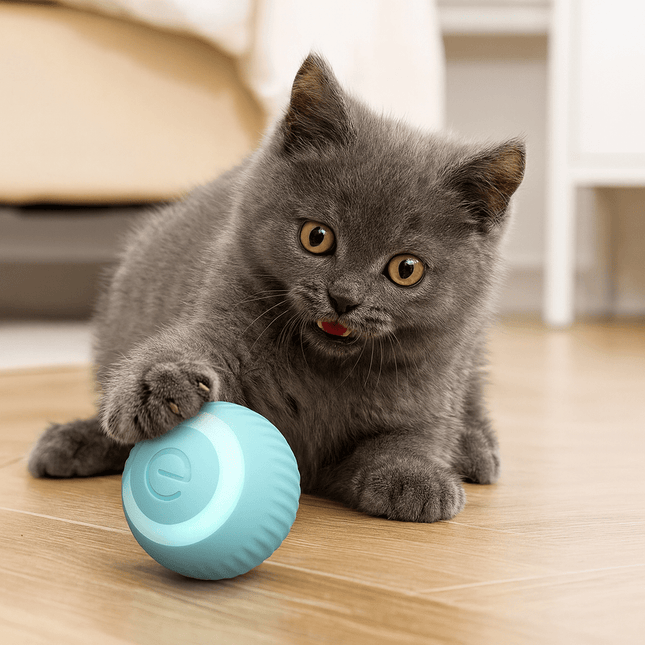 Interactief Kattenspeelgoed Bal | Katspullen