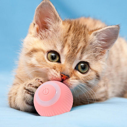 Interactief Kattenspeelgoed Bal | Katspullen