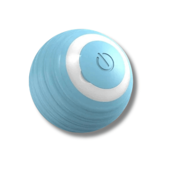 Interactief Kattenspeelgoed Bal | Katspullen Blauw