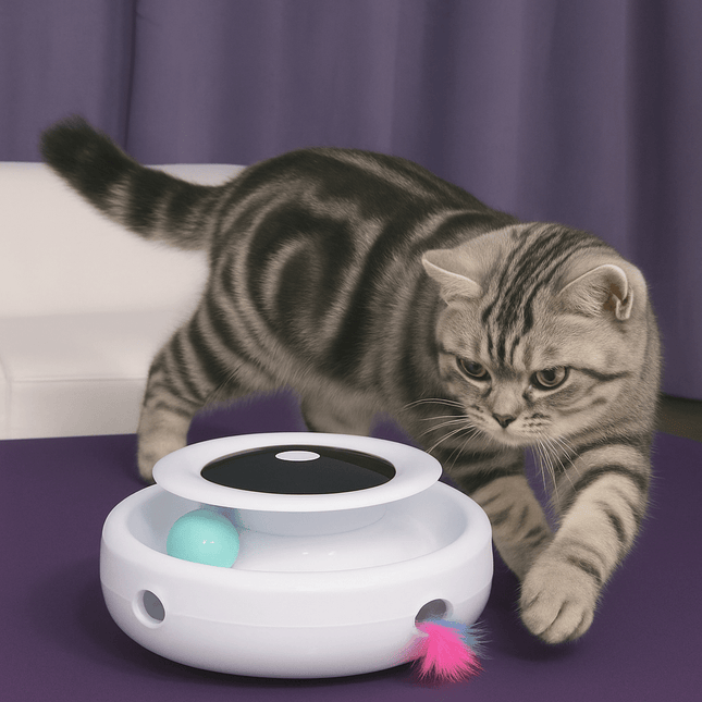 Interactief Kattenspeelgoed Veertjes | Katspullen