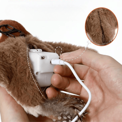 Interactief Kattenspeelgoed Vogel | Katspullen