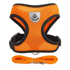 Katten Harnas Escape Proof | Katspullen Oranje / S