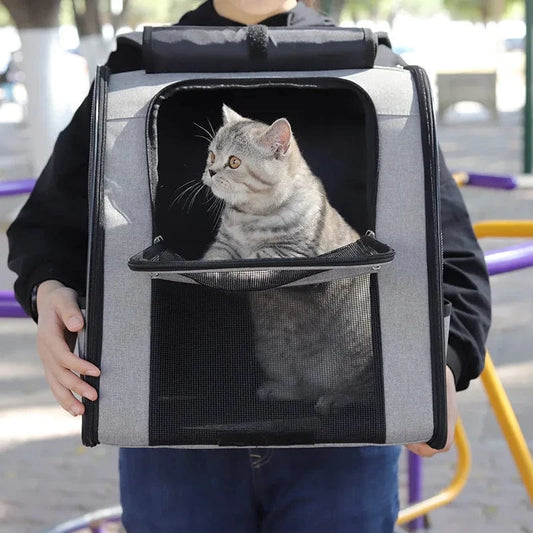 Katten Rugzak Groot | Katspullen