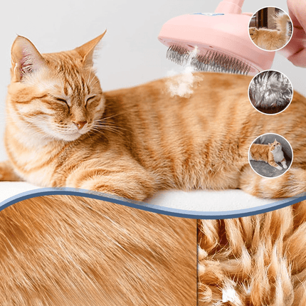 Katten Stoomborstel | Katspullen