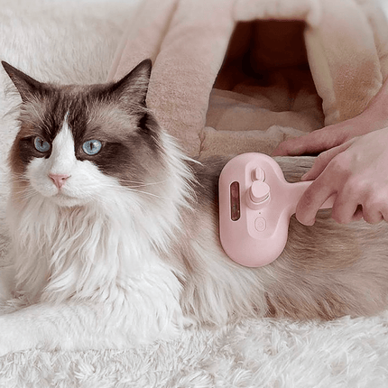 Katten Stoomborstel | Katspullen