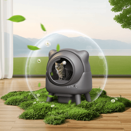 Kattenbak Automatisch | Katspullen
