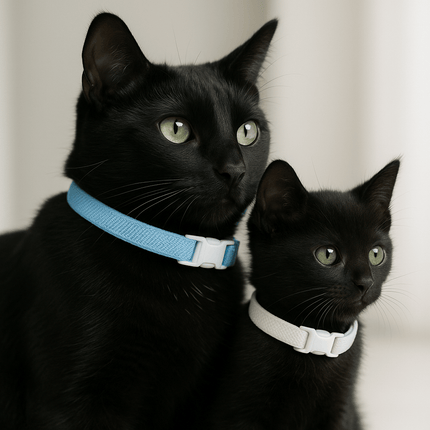 Kattenbandje | Katspullen