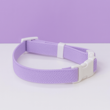Kattenbandje | Katspullen Paars / L