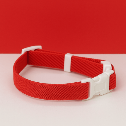 Kattenbandje | Katspullen Rood / S