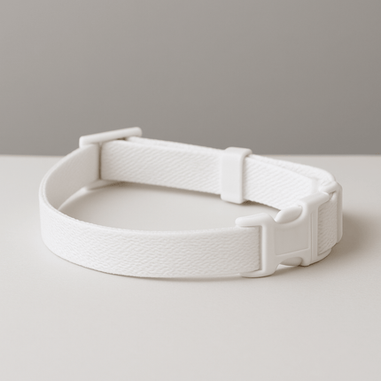 Kattenbandje | Katspullen Wit / L