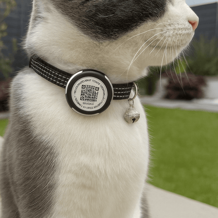 Kattenhalsband GPS | Katspullen