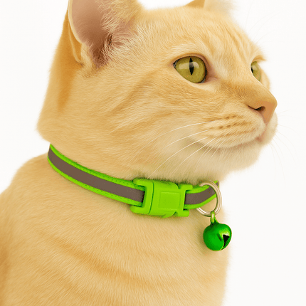Kattenhalsband Veiligheidssluiting | Katspullen