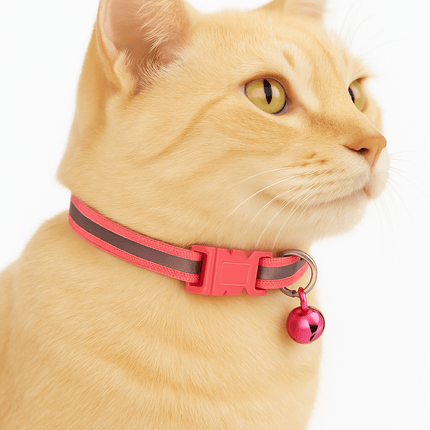 Kattenhalsband Veiligheidssluiting | Katspullen