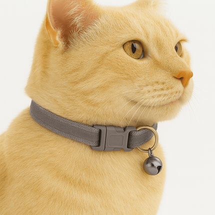 Kattenhalsband Veiligheidssluiting | Katspullen