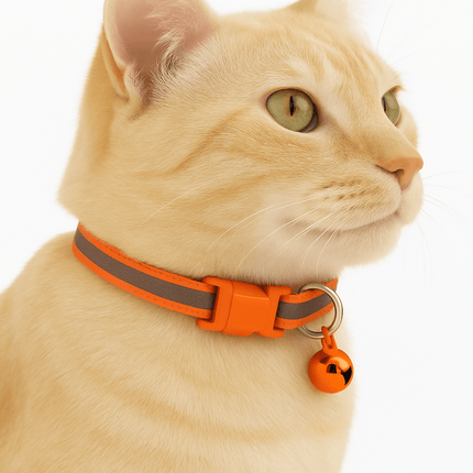 Kattenhalsband Veiligheidssluiting | Katspullen Oranje / XS