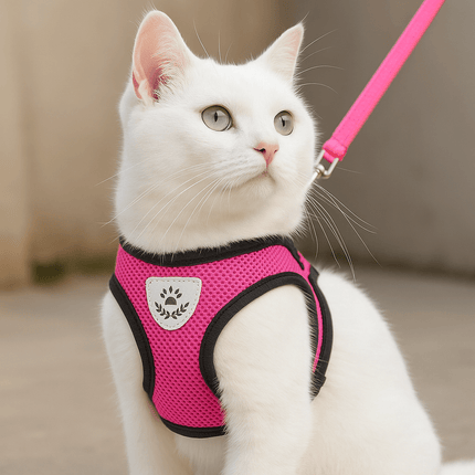 Kattentuigje Maine Coon - Royal Forest Harness
