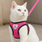Kattentuigje Maine Coon - Royal Forest Harness