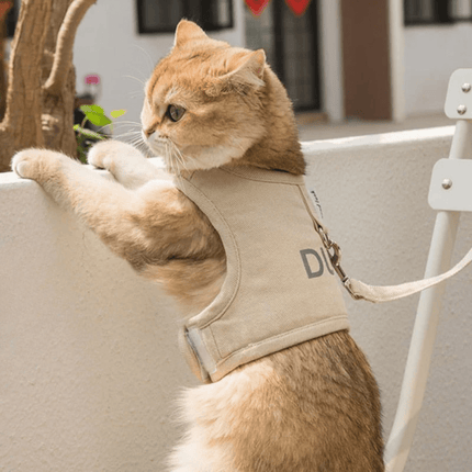 Kattentuigje Met Looplijn | Katspullen