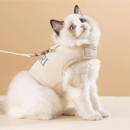 Kattentuigje Met Looplijn | Katspullen