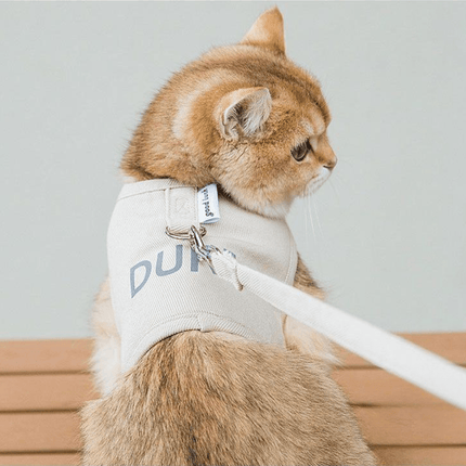 Kattentuigje Met Looplijn | Katspullen
