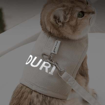 Kattentuigje Met Looplijn | Katspullen