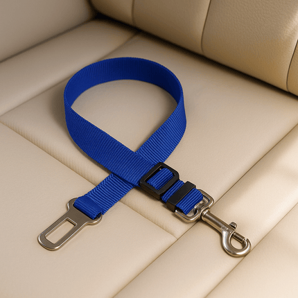 Kattentuigje Voor In De Auto | Katspullen Blauw