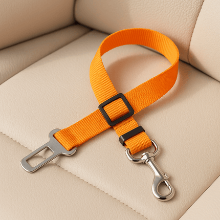 Kattentuigje Voor In De Auto | Katspullen Oranje