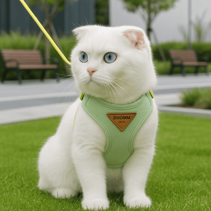 Kattentuigjes | Katspullen Groen / XS