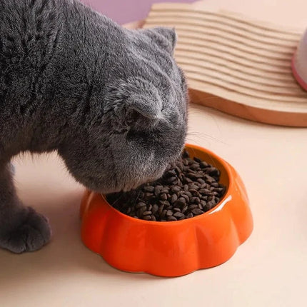 Keramische Kattenvoerbak Fruitdesign | Katspullen