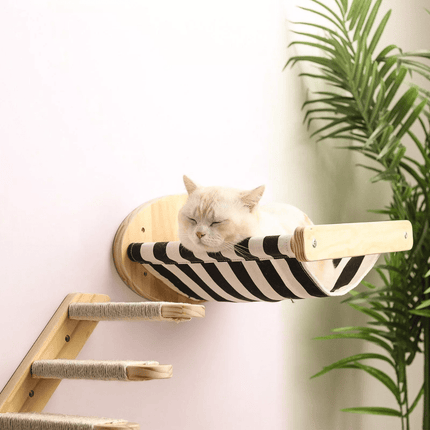 Krabpaal Kat - Modulaire Wandklimmeubels | Katspullen