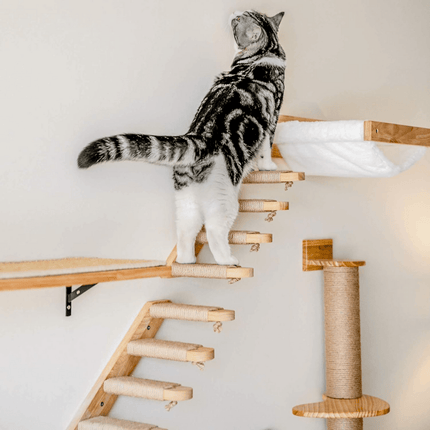 Krabpaal Kat - Modulaire Wandklimmeubels | Katspullen