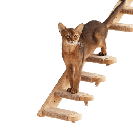 Krabpaal Kat - Modulaire Wandklimmeubels | Katspullen
